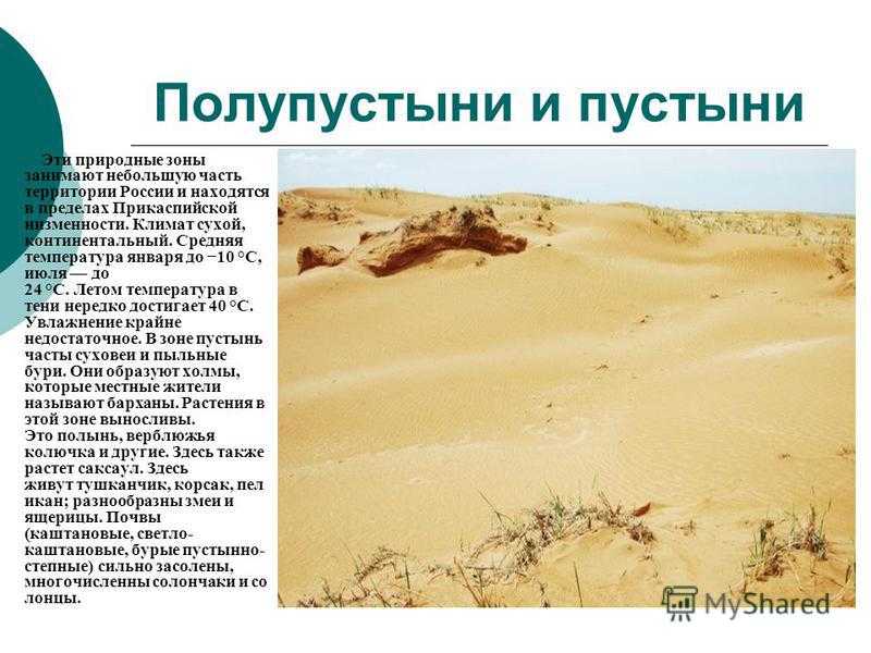 Природная зона пустынь: их классификация и характеристика