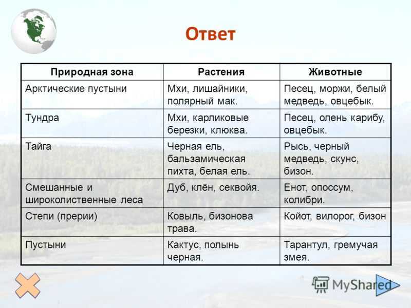 Природные зоны земли