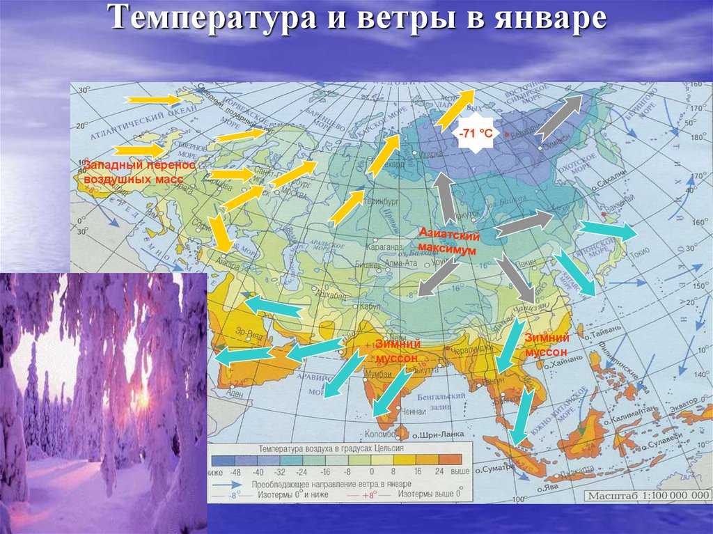 Типы климата арктического, субарктического и умеренного поясов Евразии 1 Типы климата арктического пояса Океанический арктический полярный климат К