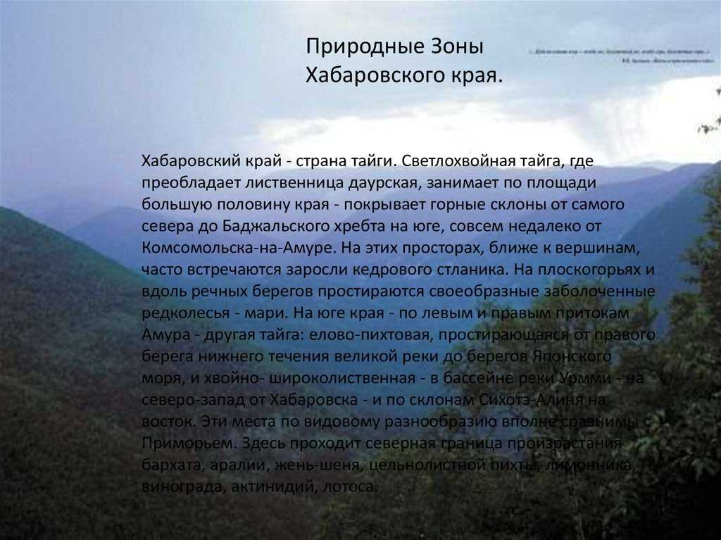Климат, погода по месяцам, средняя температура в хабаровск (россия) - weather spark