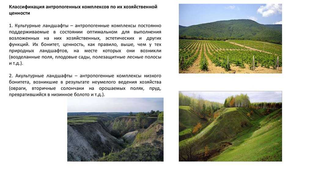 Глава 3. природно-антропогенные системы