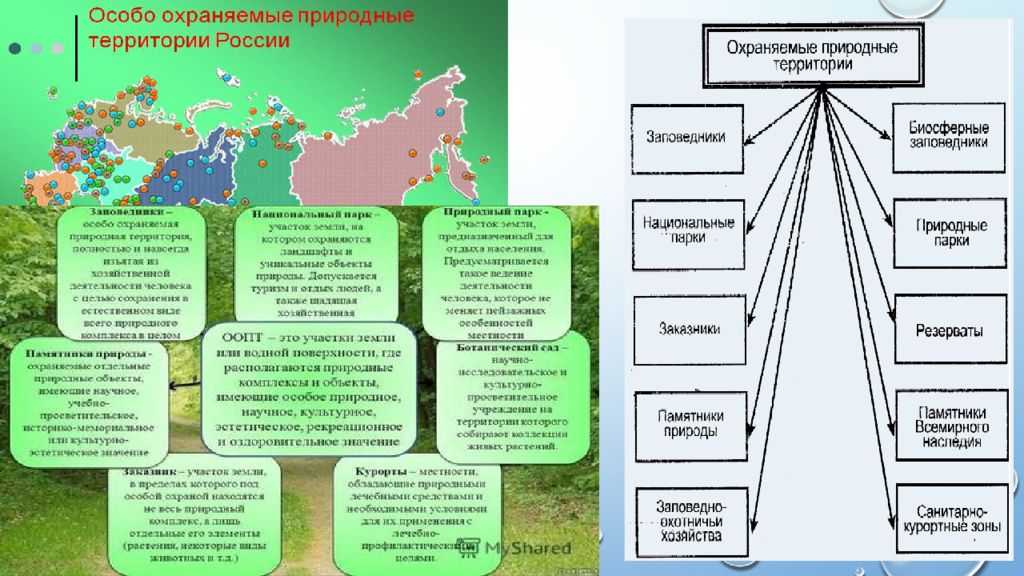 Закон об особо охраняемых природных территориях n 33-фз