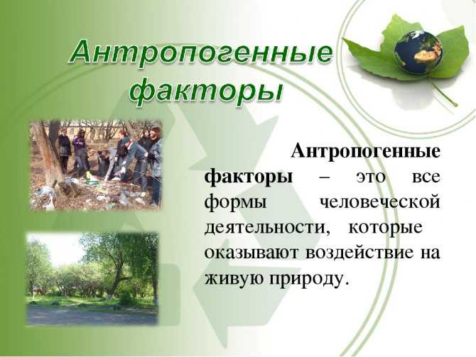 Антропогенное воздействие человека на биосферу: последствия и угрозы