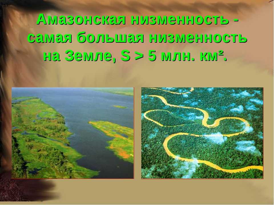 Географическое положение амазонской низменности Амазонская низменность — площадь и расположение на карте Амазонская низменность является наибольшей на