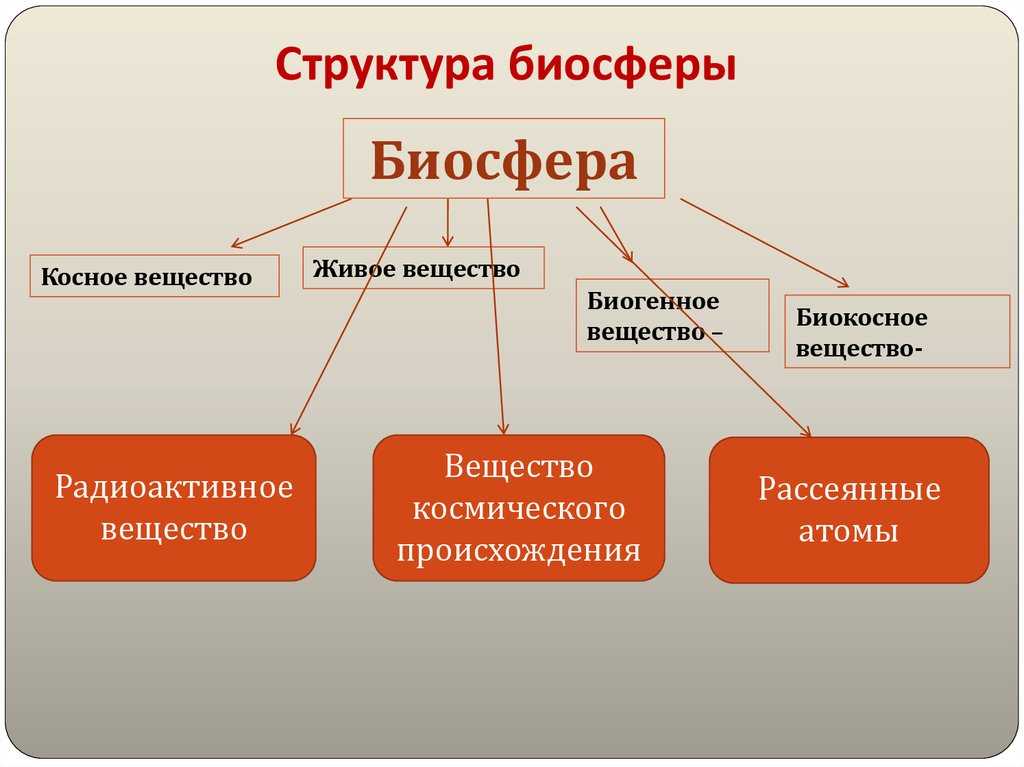 Вещество косное