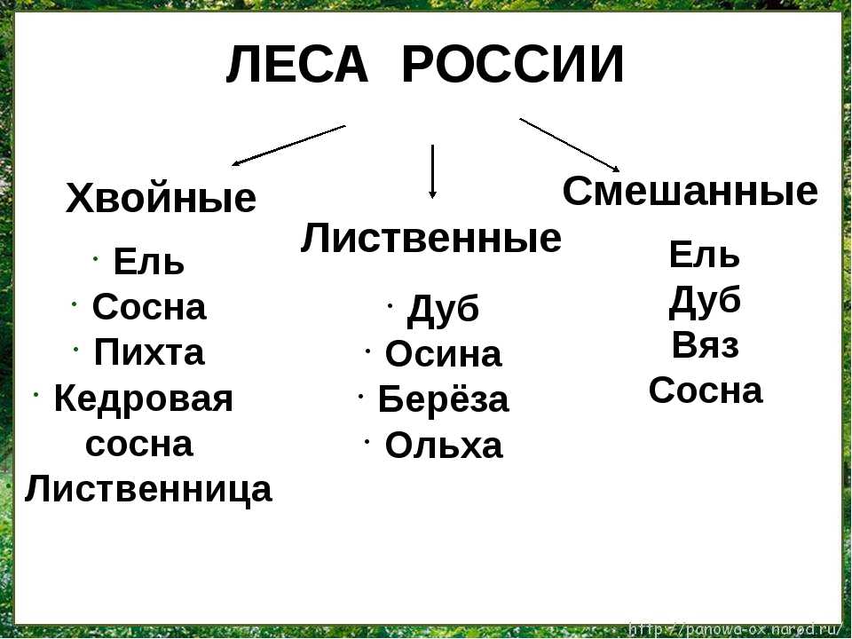 Топография и черчение  » blog archiv   » таблицы условных знаков