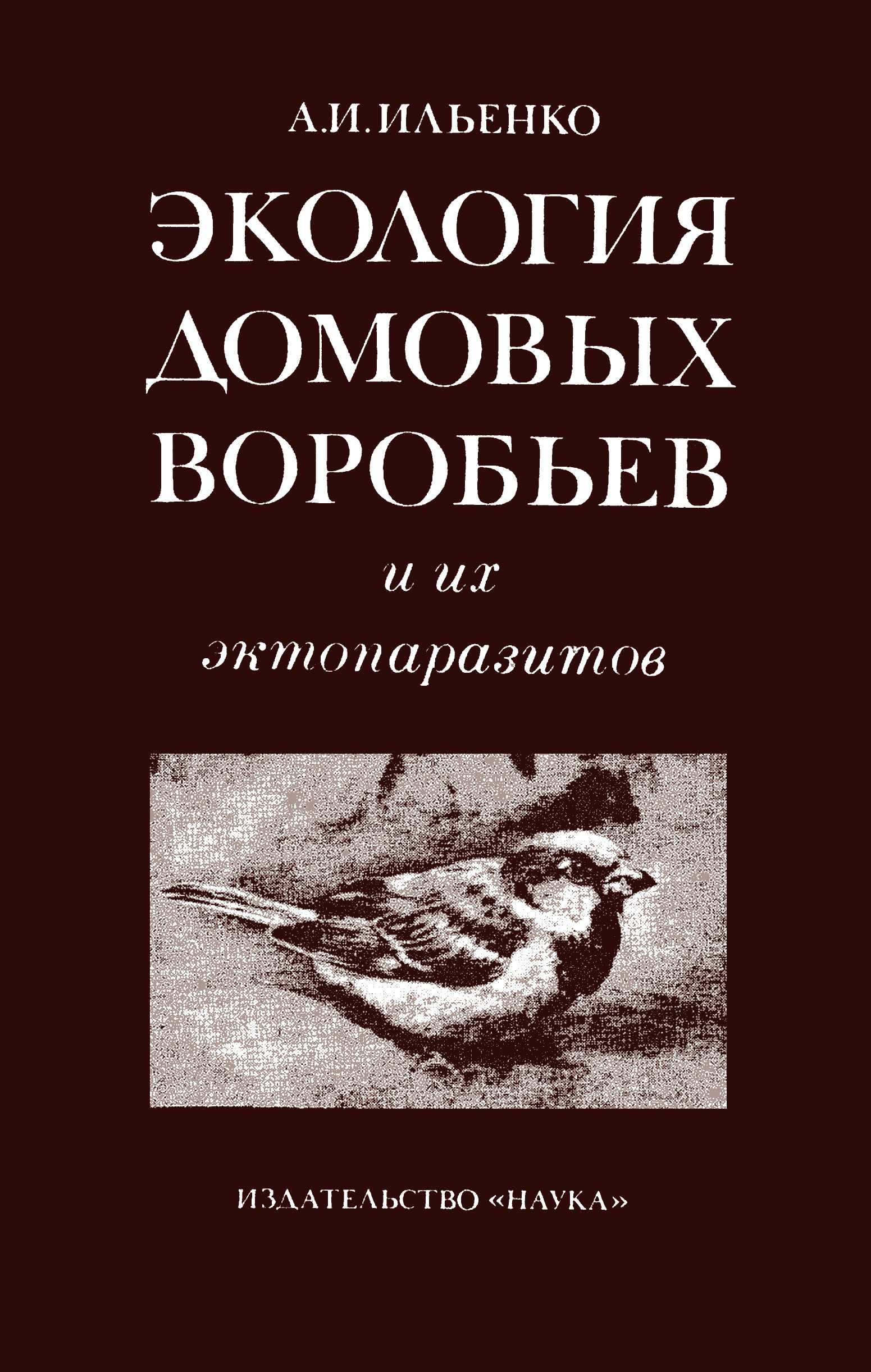 Климат оренбург
(российская федерация)