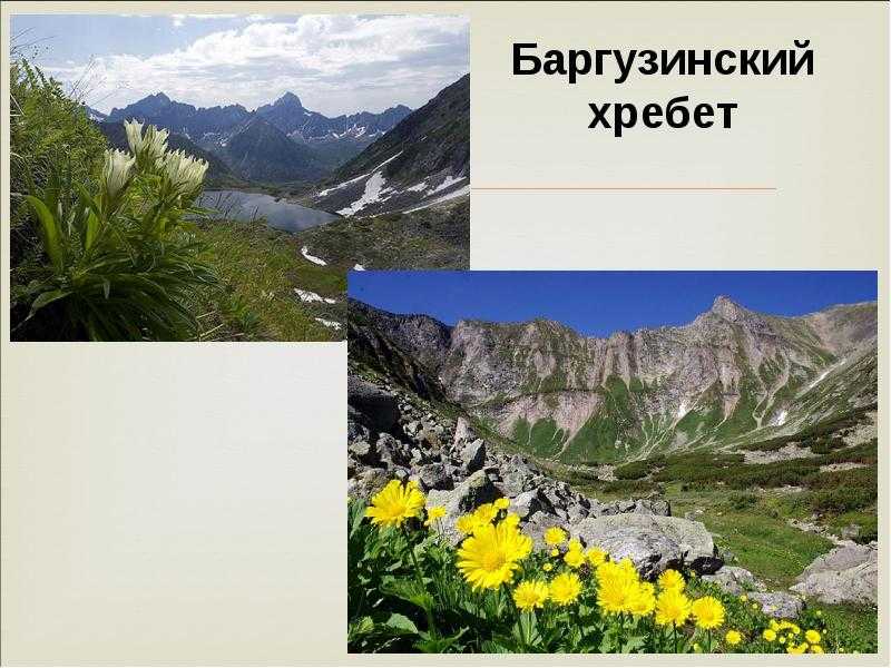 Южная сибирь. географическое положение, основные черты природы 9 класс онлайн-подготовка на ростелеком лицей | тренажеры