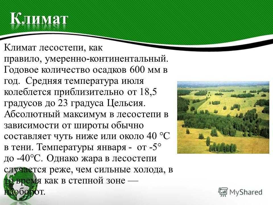 Описание степей и лесостепей. животный и растительный мир лесостепи — характеристика, список, названия и фото