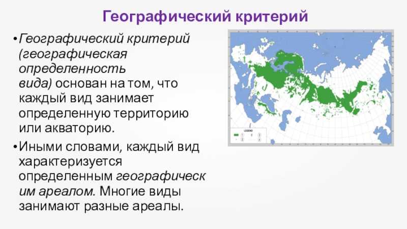 69. эволюция органического мира
                                читать 0 мин.