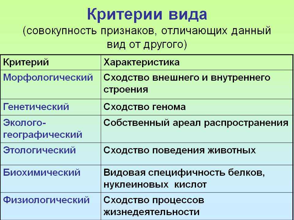Агломерации наступают