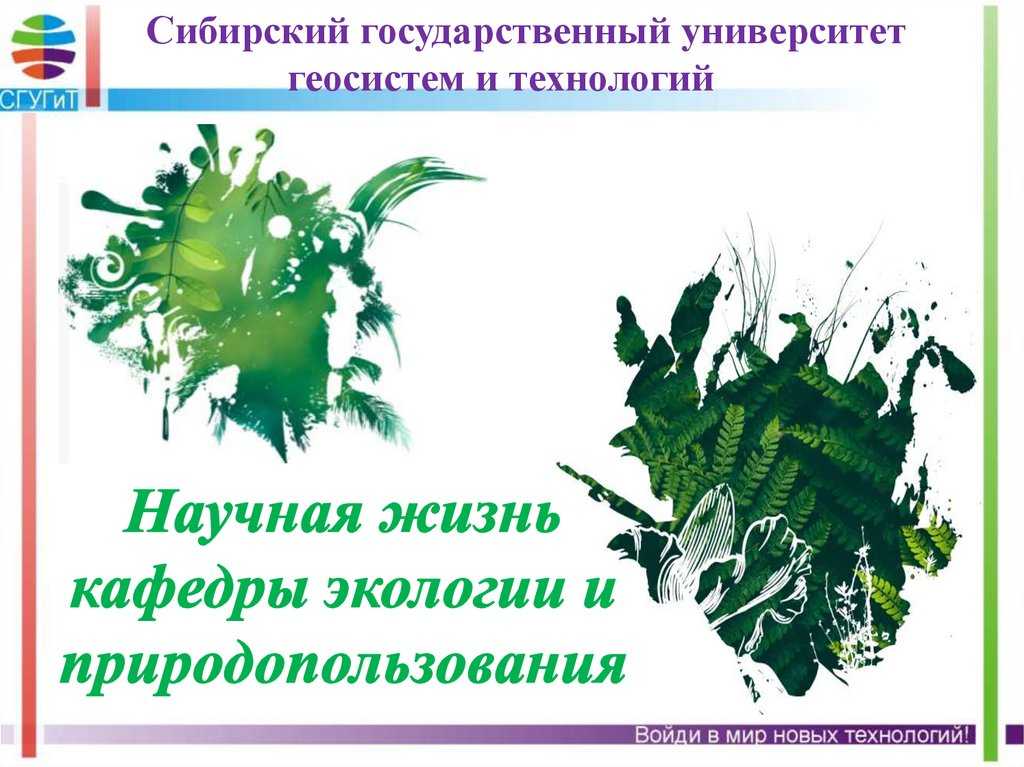 Презентация на тему "геосистемы"
