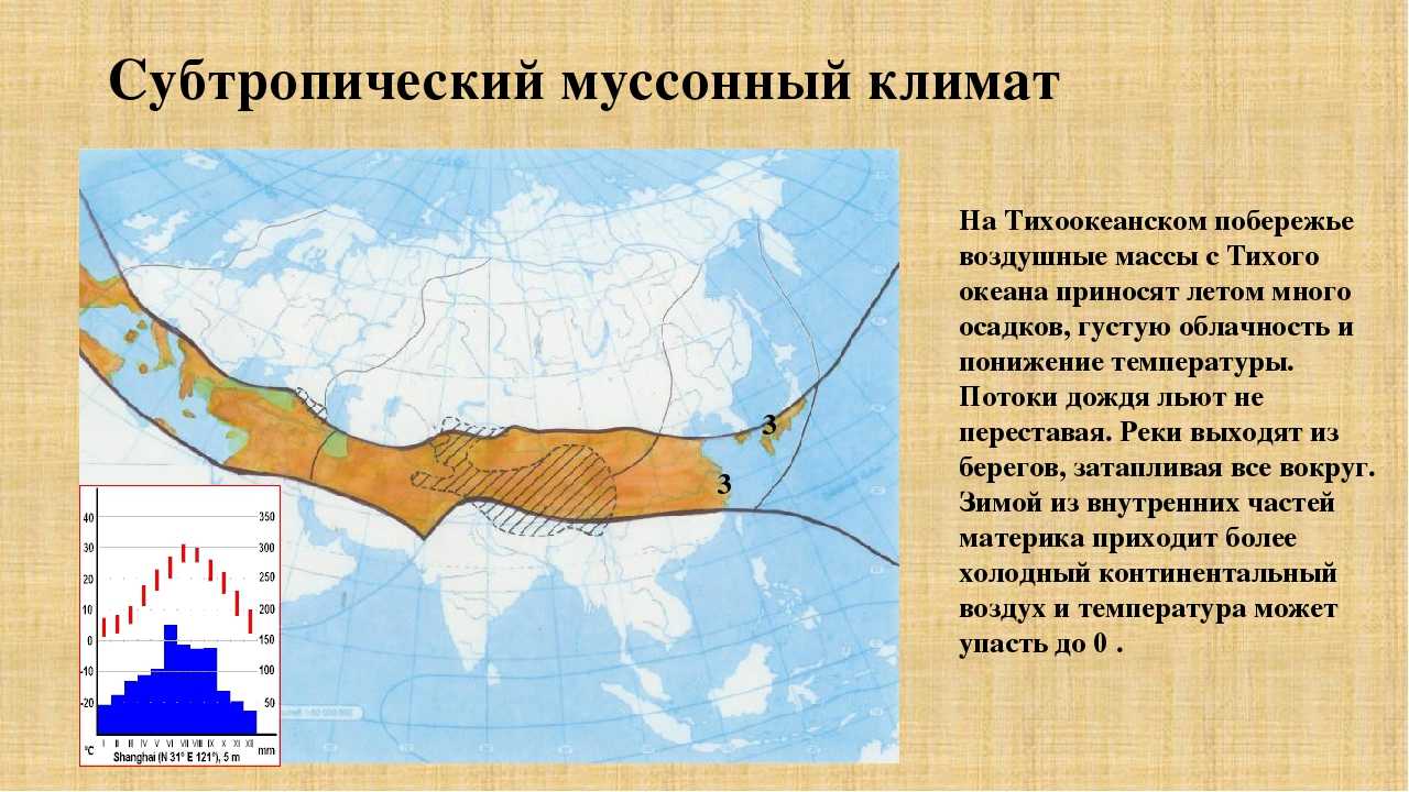 Субтропики в россии на карте, субтропическая зона климата, территории пояса