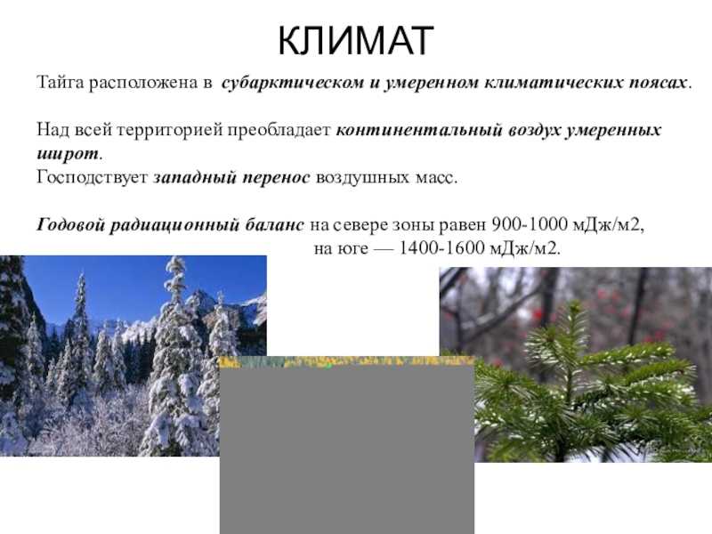 География