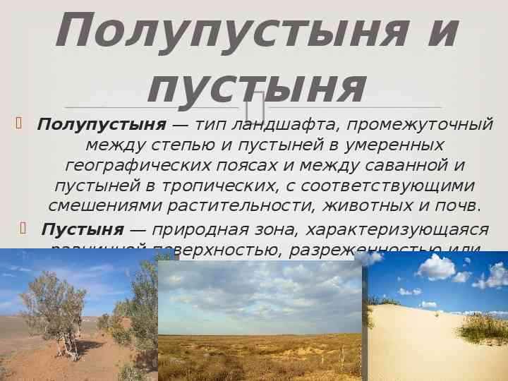 Природная зона пустынь: их классификация и характеристика