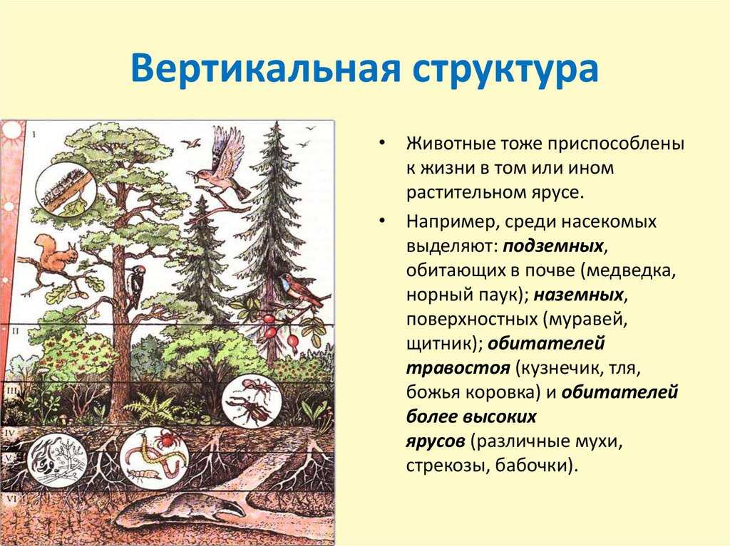 Типы пространственной структуры ландшафта