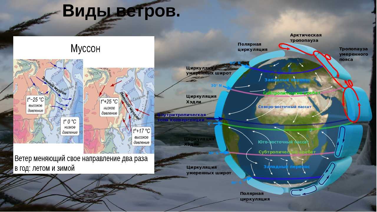 Муссонный климат