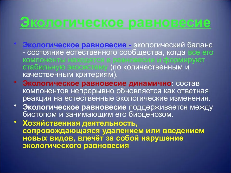 Экологическое равновесие: как сохранить жизнь на планете и обрести гармонию внутри себя