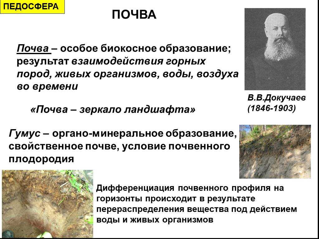 Смысл высказывания почва зеркало ландшафта. разбор задания «зеркало ландшафта