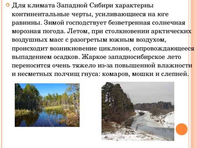 Западно-сибирская равнина. природа региона