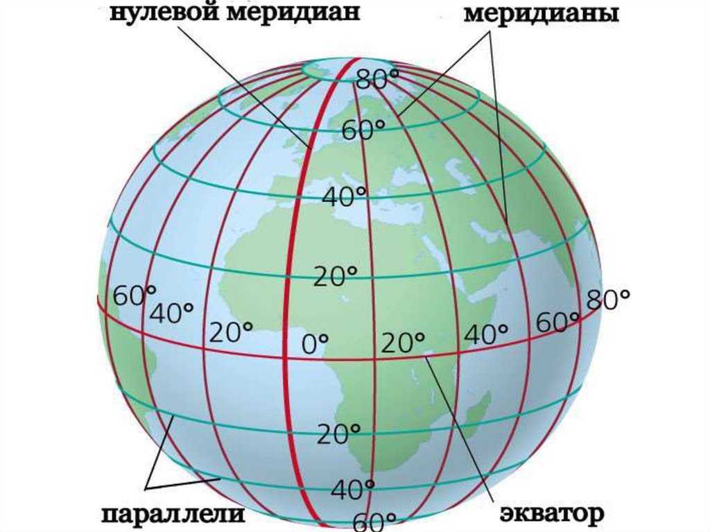 Параллели и меридианы — градусная сетка на глобусе | где расположены