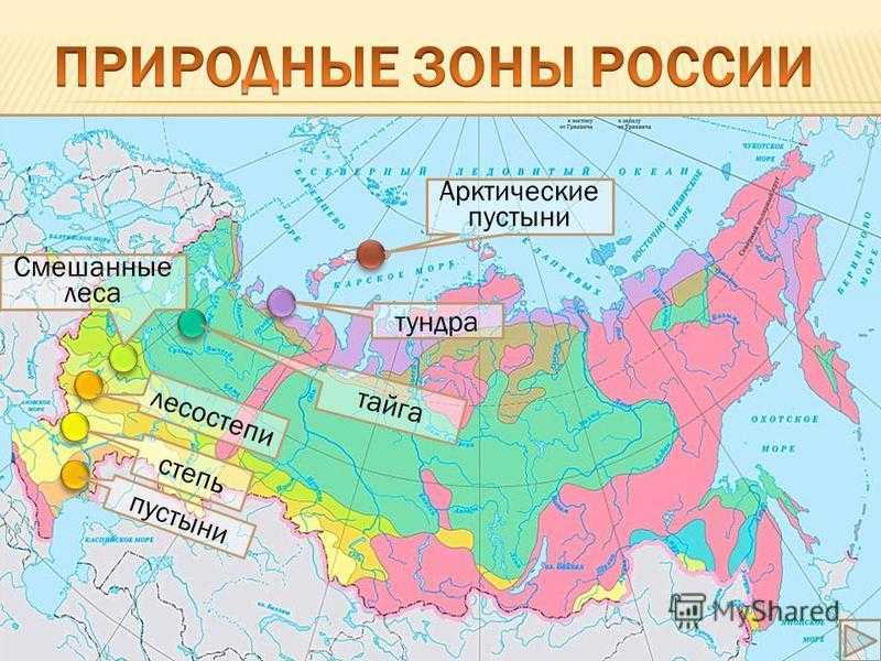 Экологические проблемы краснодарского края и пути их решения | животный мир