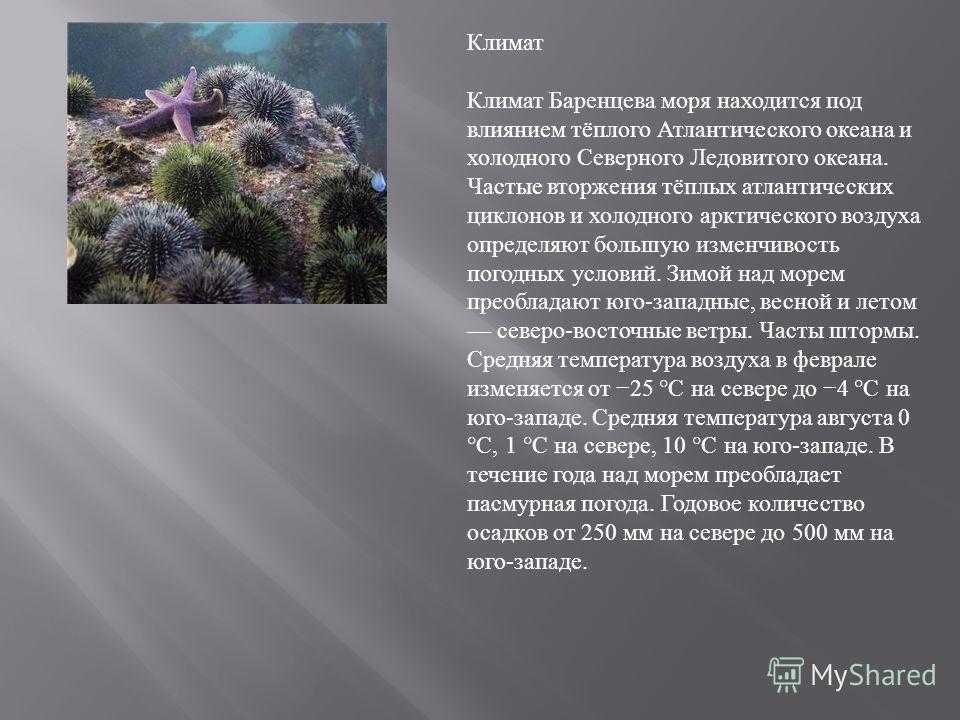 Почему баренцево море значительно теплее чем белое - узнавалка.про
