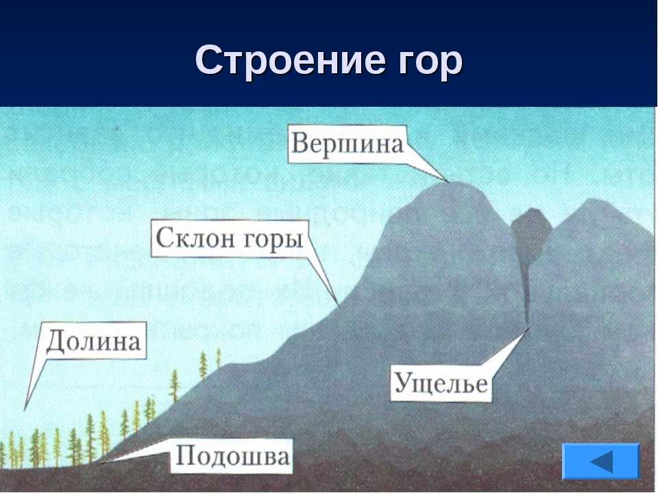 Местность это тсп. классификация типов местности по различным признакам — выживание в лесу