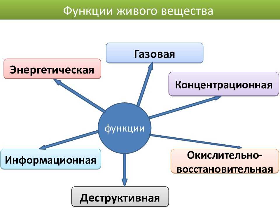 Функции живого вещества в биосфере