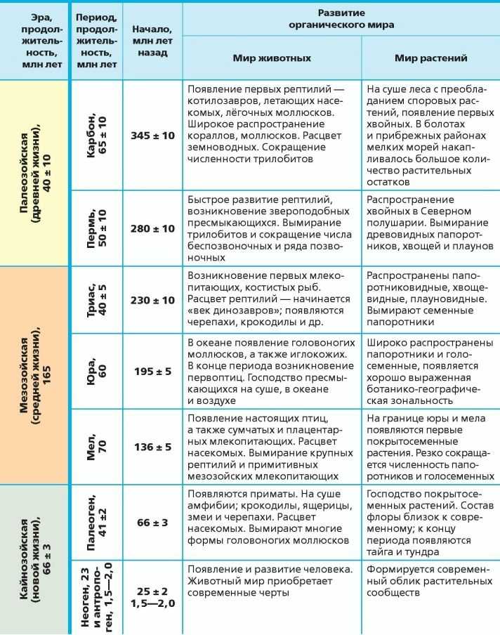 Эволюция биосферы: кратко об основных этапах развития биологической оболочки земли, учение вернадского