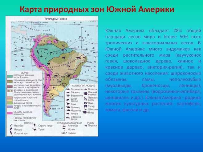 Природные зоны северной и южной америки. Карта природных зон Южной Америки. Карта природных зон Южной Америки 7 класс география. Природные зоны Южной Америки таблица местоположение. Экваториальный пояс Южной Америки природная зона.
