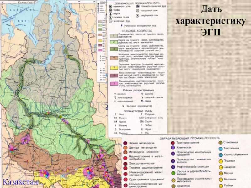 Западная сибирь - географическое положение и общая характеристика