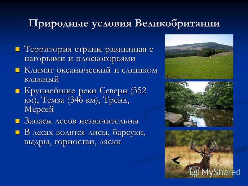 Природные зоны великобритании