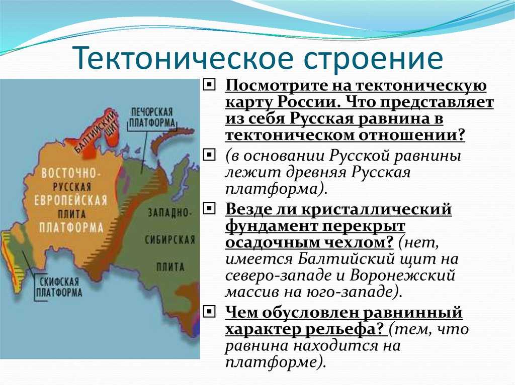 Урок 4: равнины и горы россии - 100urokov.ru