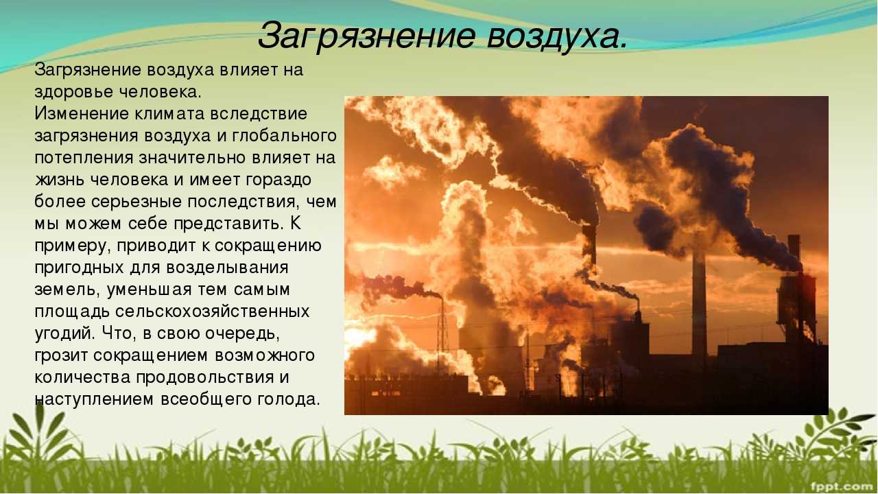 В чем проявляется аридизация территорий и с чем она связана кратко