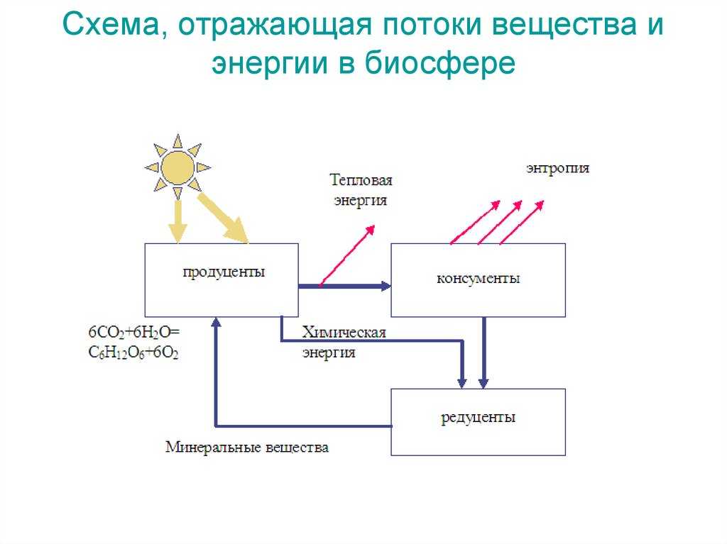 Биосфера. круговорот веществ в биосфере. глобальные изменения в биосфере. | егэ по биологии