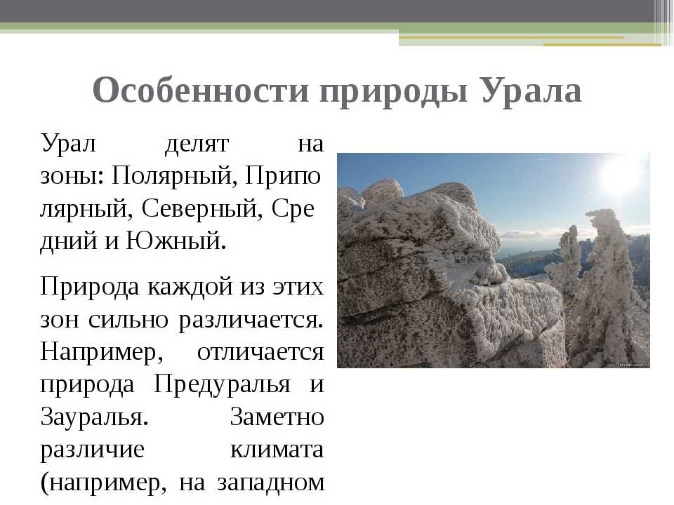 Природные зоны урала - географическое положение, особенности