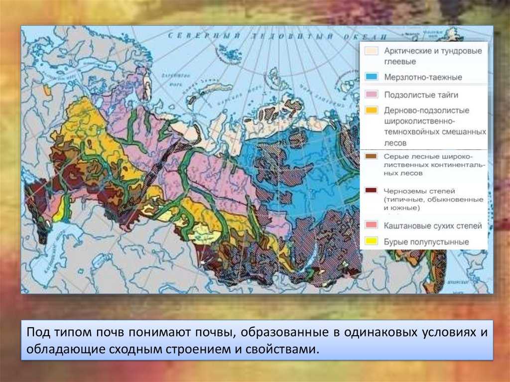 Почвенно-географическое районирование
, том 2 @ национальный атлас россии