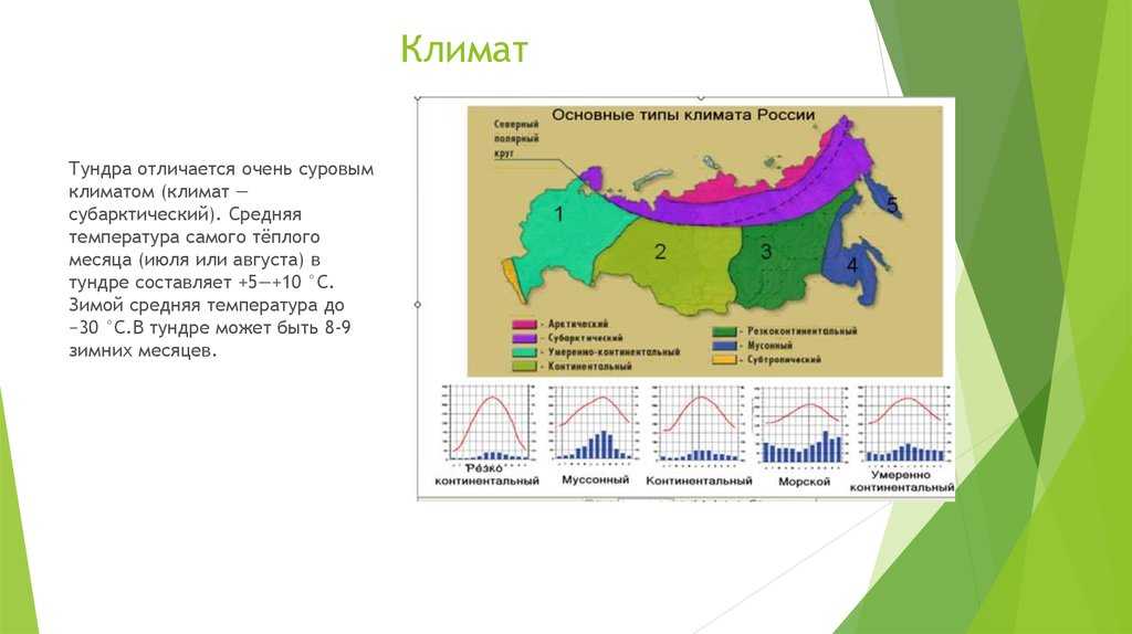 Умеренному поясу характерен климат. Муссонный Тип климата на карте России. Умеренный муссонный климат. Муссонный климат умеренного пояса на карте. Муссонный климат умеренного пояса на карте России.