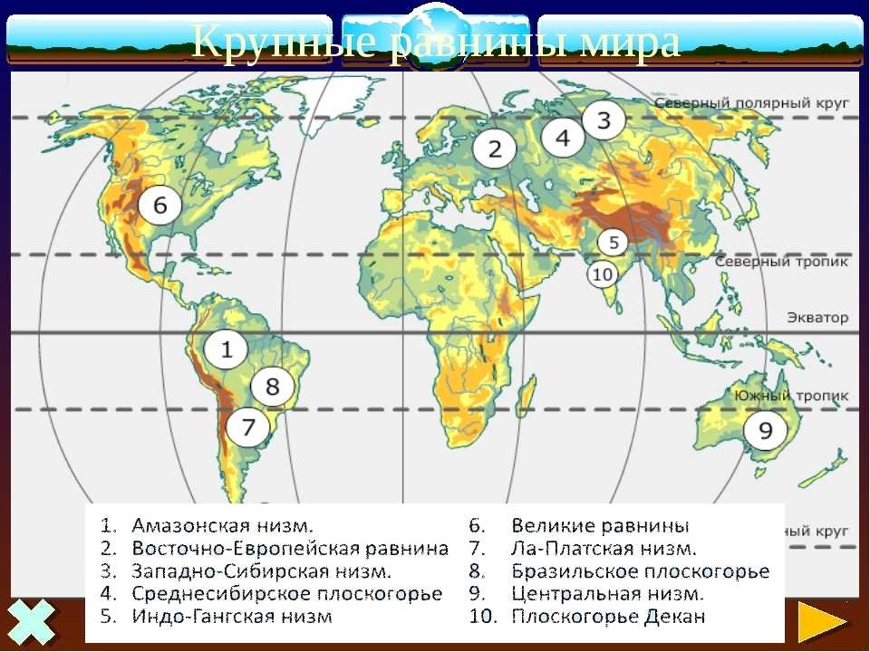 Урок 12. среднерусская возвышенность, калачская возвышенность и окско-донская низменность. – mygeograph.ru