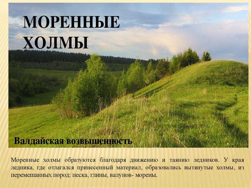 Какая форма рельефа является моренной грядой? а) среднерусская возвышенность; б) валдайская возвышен