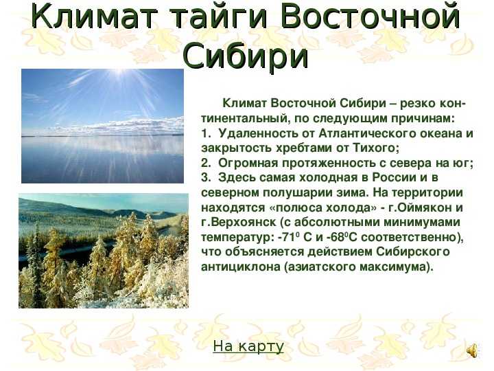 Какой тип климата на территории восточной сибири. Тайга Восточной Сибири климат. Тайга Западной Сибири климат. Климатические условия тайги тайги. Климатические условия Восточной сибирской тайги.