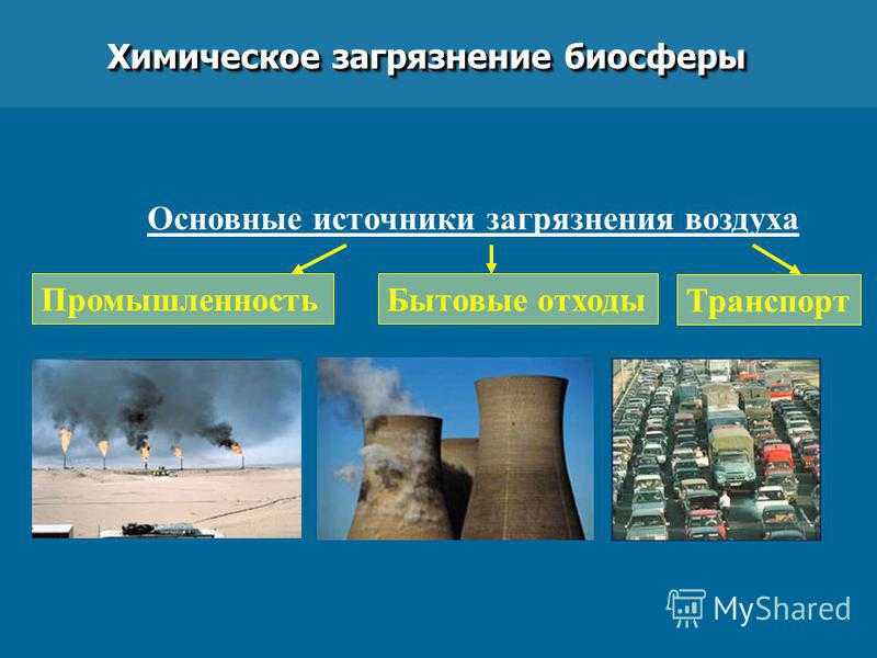 Человек и биосфера - примеры влияния и взаимодействия