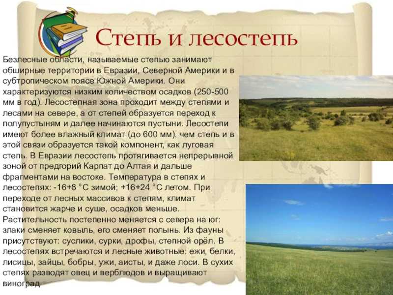 Природные особенности лесостепи и степи. Климат лесостепи в России. Характеристика степи. Зоны лесостепей и степей. Природные зоны степи и лесостепи.