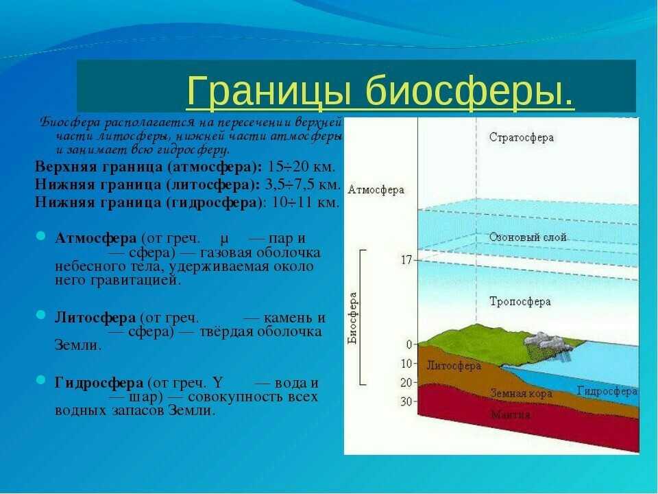 Функции биосферы