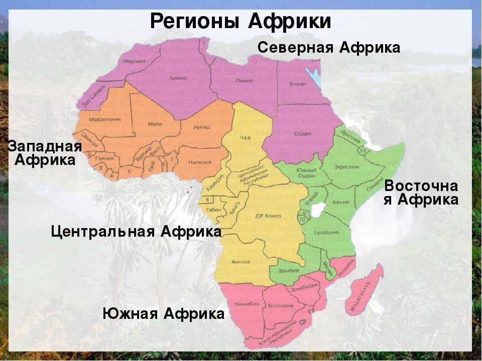 Какие океаны и моря омывают африку: географическое положение и климат
