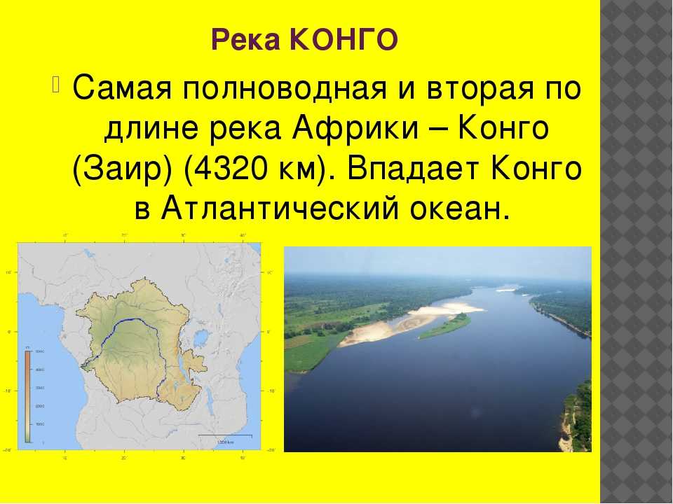 Режим реки конго: влияние климата и особенности