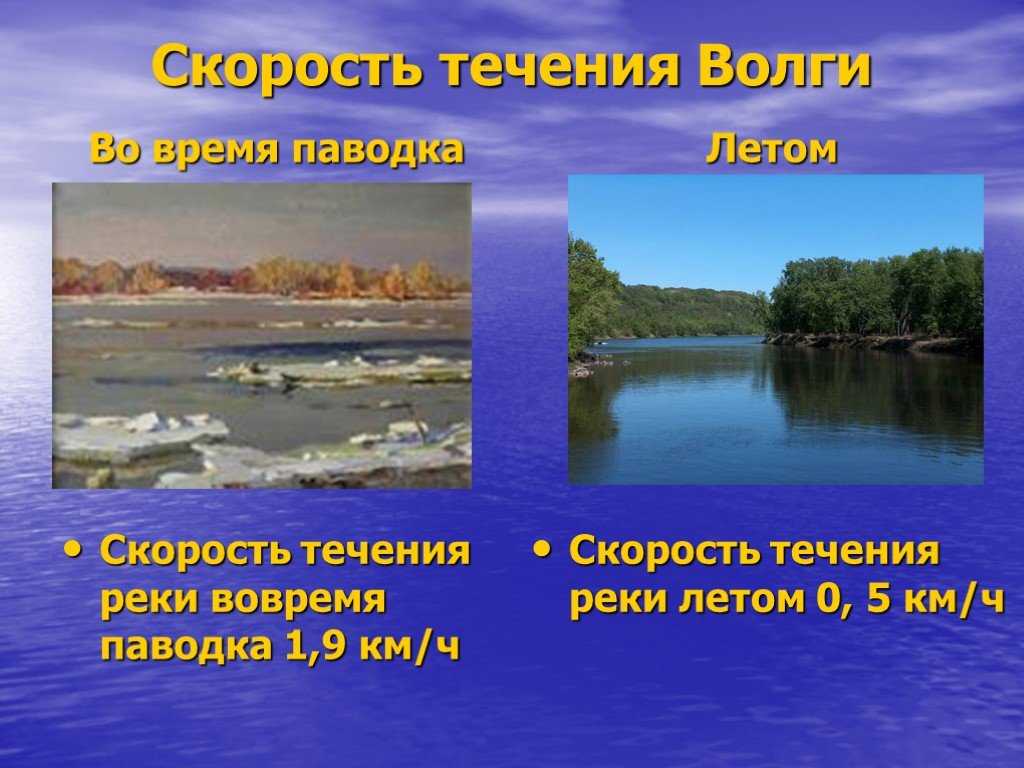 Водный режим