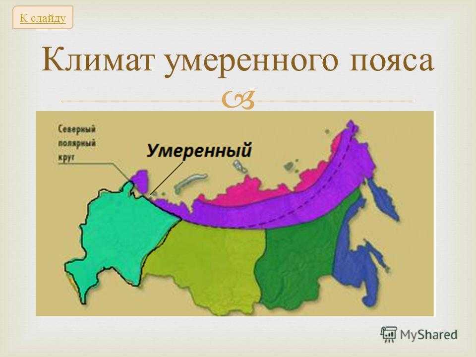 Континентальные пояса россии. Субарктический климатический пояс на карте России. Арктический климат Арктический. Резкоконтиннтальный климат. Резко континентальный климат.