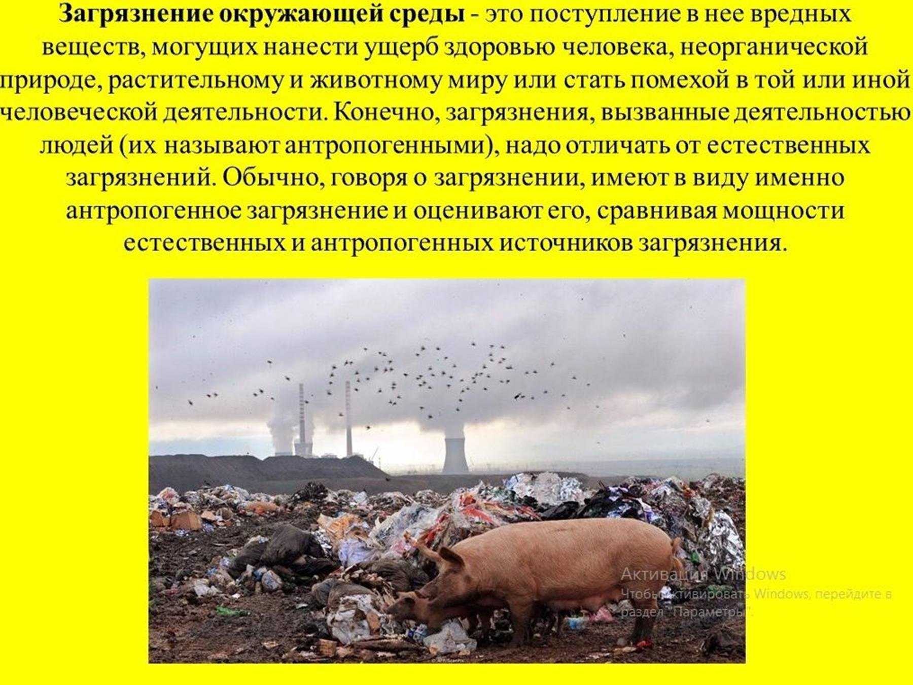 Климат — пермавики | permawiki.ru